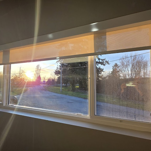 3% solar roller shades allowing natural light with glare reduction